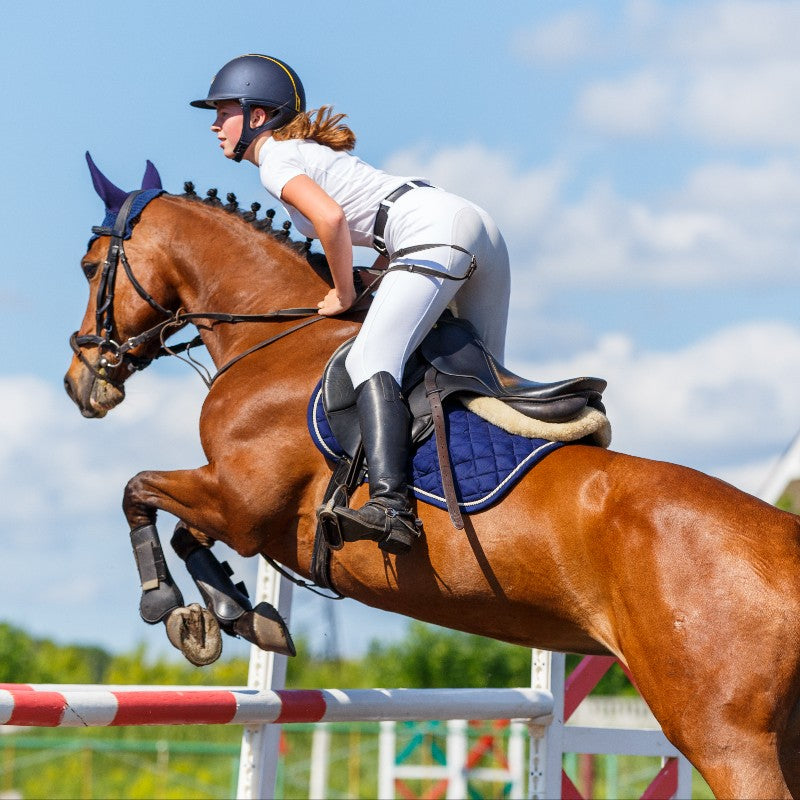Women riding a horse - Equestrian Sports Collection